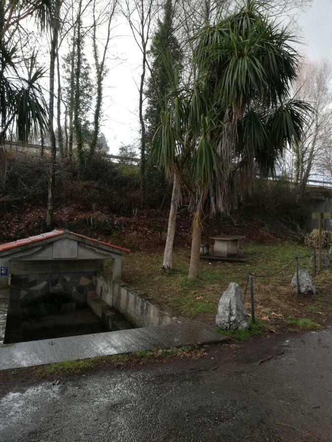 Apartamento Sigueeiro Camino Ingles シグエイロ エクステリア 写真