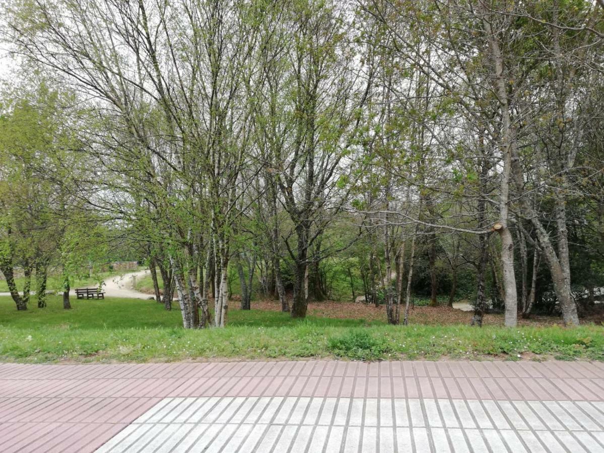 Apartamento Sigueeiro Camino Ingles シグエイロ エクステリア 写真